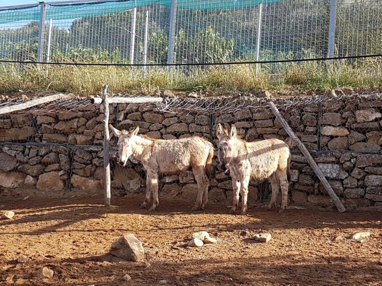Vakantieboerderij Il Drago Mirabella Imbaccari
