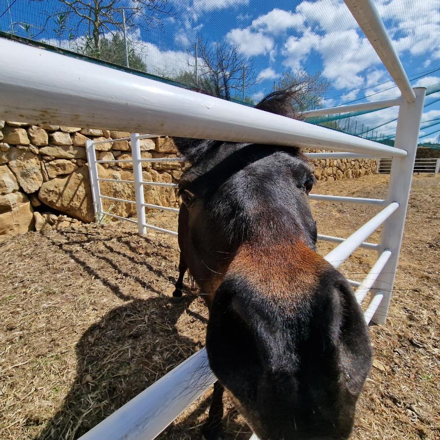 Agroturismo Il Drago Mirabella Imbaccari
