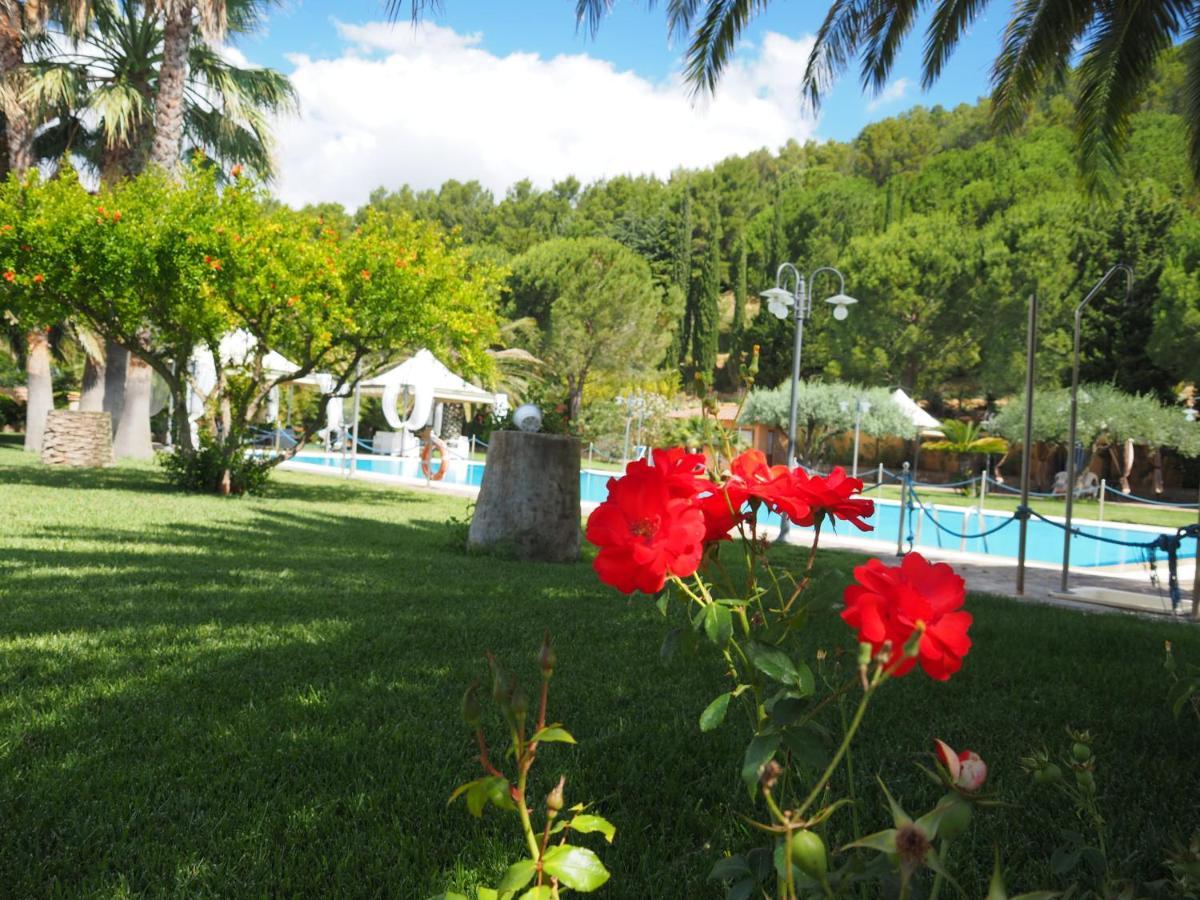 Agriturismo Il Drago Alloggio per agriturismo
